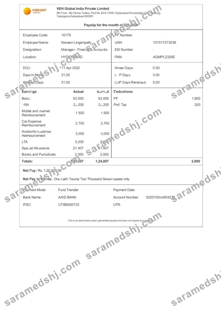 Vibrant Energy VEH Global India payslip template in Word and PDF formats.pdf, 1